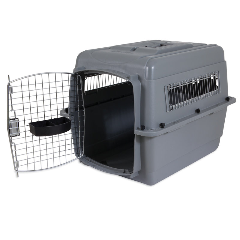 Petmate Sky Kennel Pet Carrier Reviews Wayfair